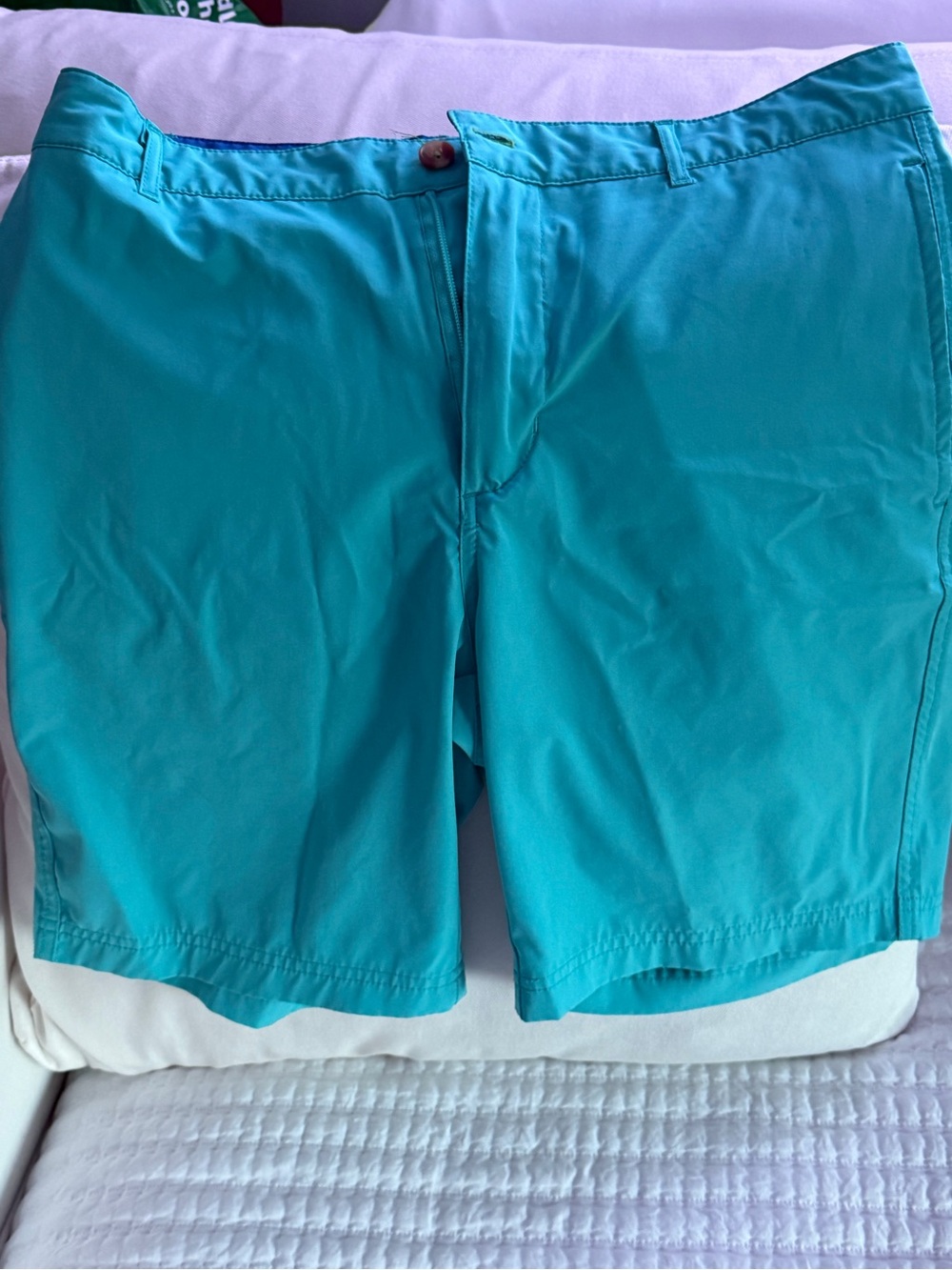 Tailorbyrd Teal Men's Shorts